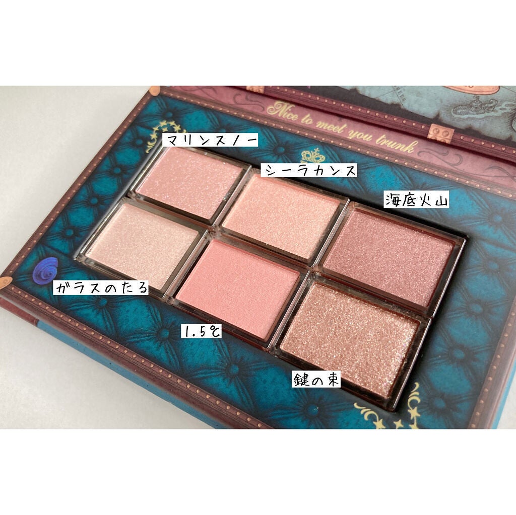 ナイストゥミーチュートランク/MAJOLICA MAJORCA/アイシャドウパレットを使ったクチコミ(2枚目)