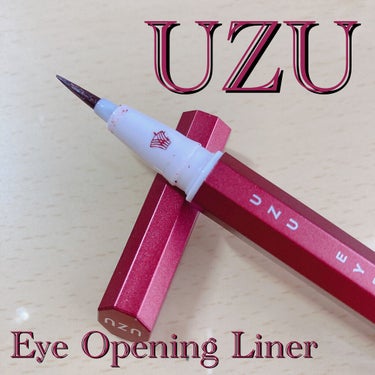 EYE OPENING LINER BURGUNDY/UZU BY FLOWFUSHI/リキッドアイライナーを使ったクチコミ（1枚目）