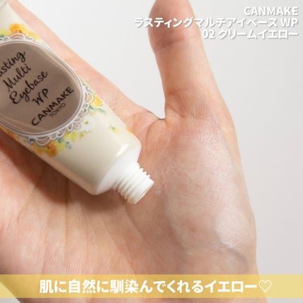 ラスティングマルチアイベース WP/キャンメイク/アイシャドウベースを使ったクチコミ(4枚目)