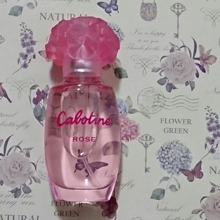 グレ カボティーヌ・ローズのクチコミ「グレ
カボティーヌ・ローズ
カボティーヌ・ローズ
柔らかな 感じの する 香り .....」(2枚目)