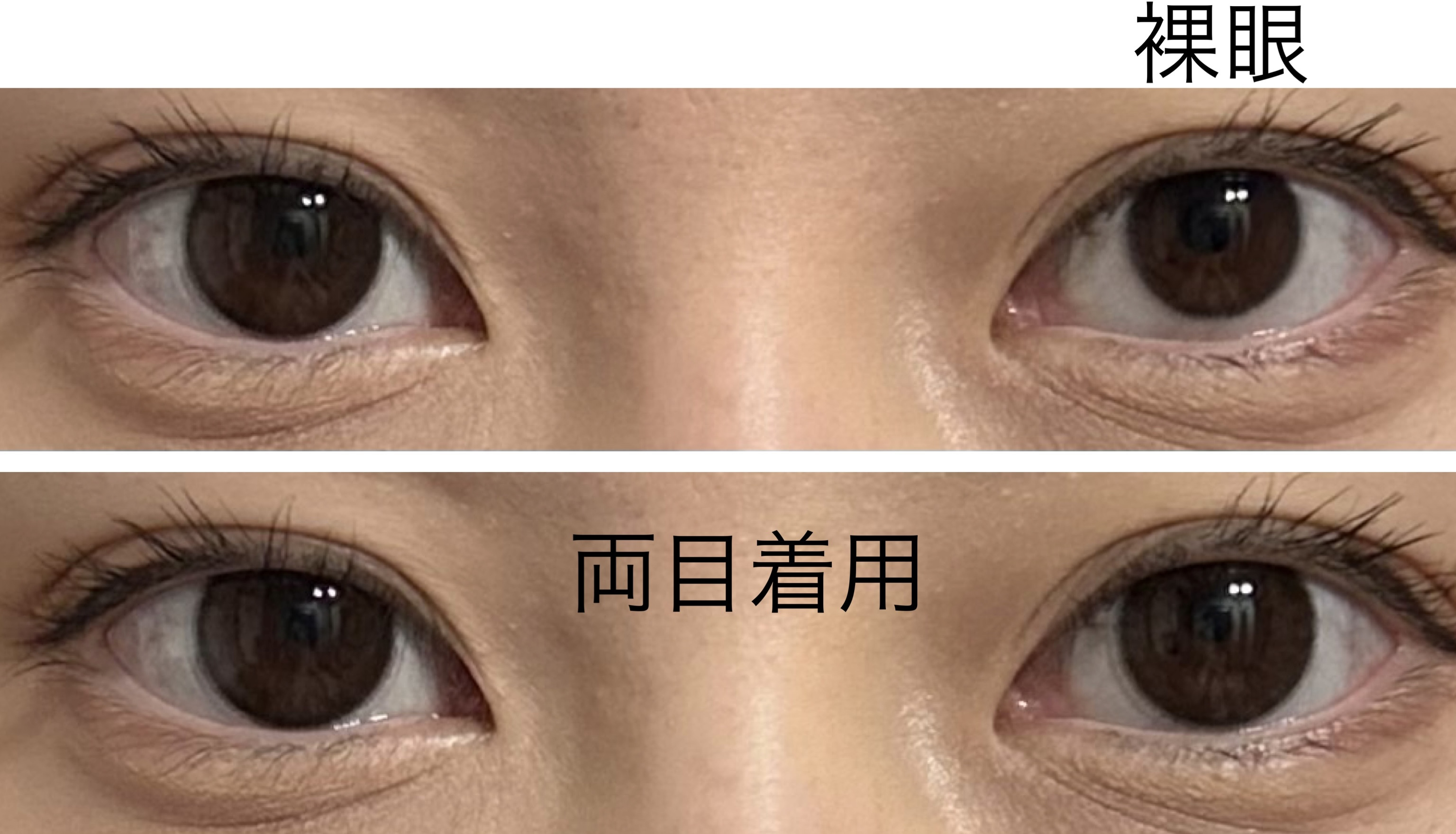 バンビシリーズ ワンデー ナチュラル Natural Nude/AngelColor/ワンデー（１DAY）カラコンを使ったクチコミ（3枚目）