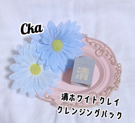 クレイパック 清 ライトグレー(しっとり)/C+/洗い流すパック・マスクを使ったクチコミ(1枚目)