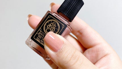 Sigil Inspired Magic Eyeshadows/SIGIL inspired/単色アイシャドウを使ったクチコミ(2枚目)