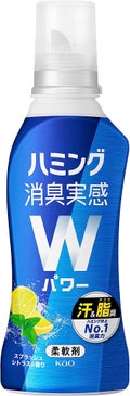 ハミング ハミング消臭実感Wパワー　スプラッシュシトラスの香り