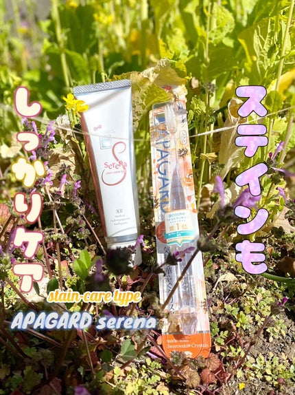 アパガードセレナ/アパガード/歯磨き粉を使ったクチコミ(1枚目)