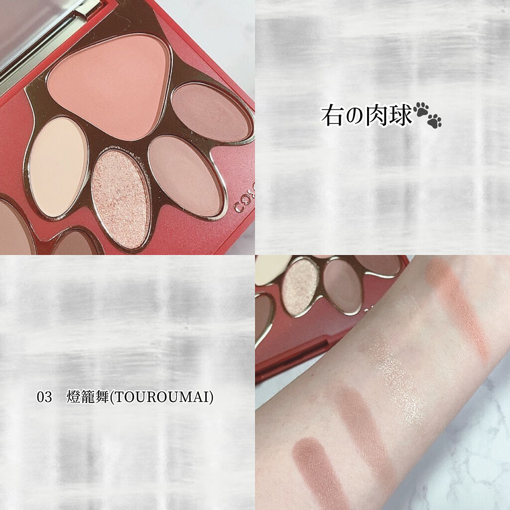 トラ十色アイシャドウパレット/COLORKEY/アイシャドウパレットを使ったクチコミ（3枚目）