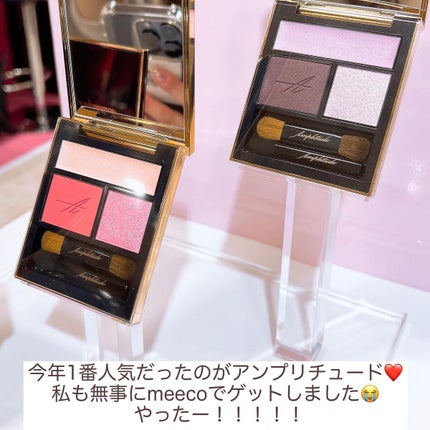 コンスピキュアス アイズ/Amplitude/アイシャドウパレットを使ったクチコミ(3枚目)