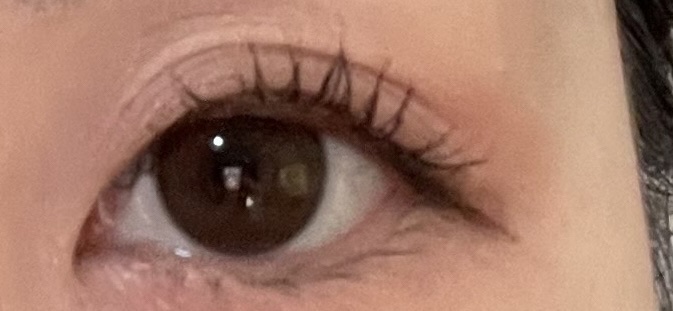 ミニアイラッシュカーラーセット/3COINS/ビューラーを使ったクチコミ（2枚目）