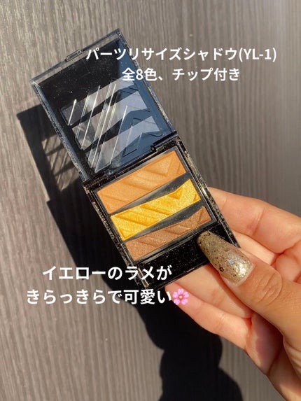 パーツリサイズシャドウ/KATE/アイシャドウパレットを使ったクチコミ(2枚目)