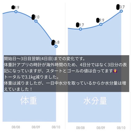 ハリウッド48時間ミラクルダイエット/ハリウッドミラクルダイエット/ドリンクを使ったクチコミ(3枚目)