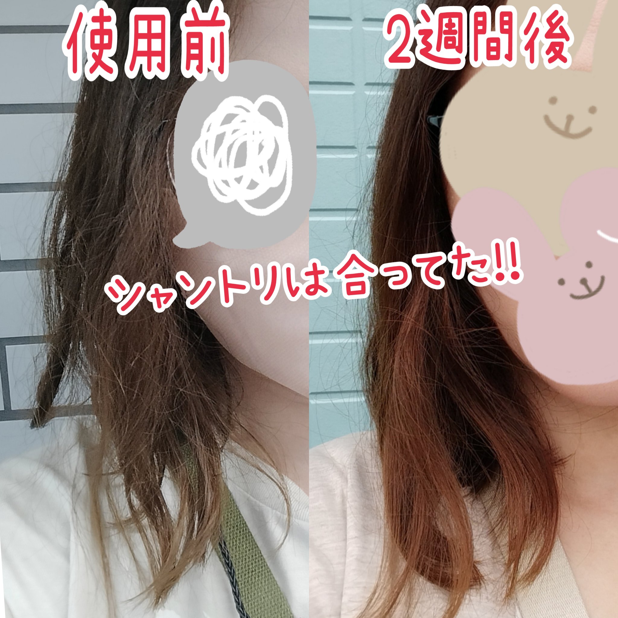 SHAMPOO & REPAIR/MEDULLA/市販シャンプーを使ったクチコミ（2枚目）