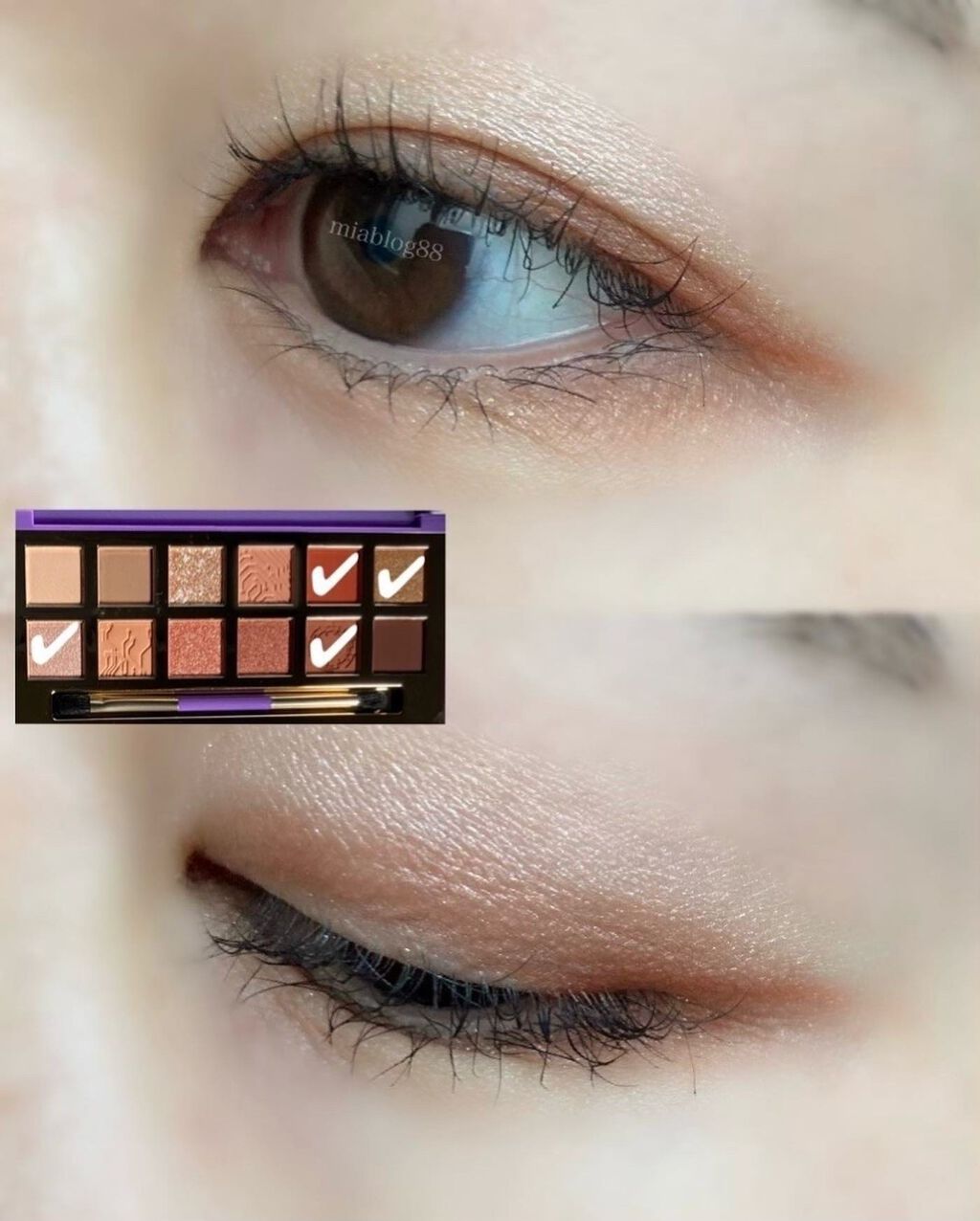 Hexze PRO流れ星釉薬12色アイシャドウ/HEXZE(ヘックスゼ)/アイシャドウパレットを使ったクチコミ(8枚目)