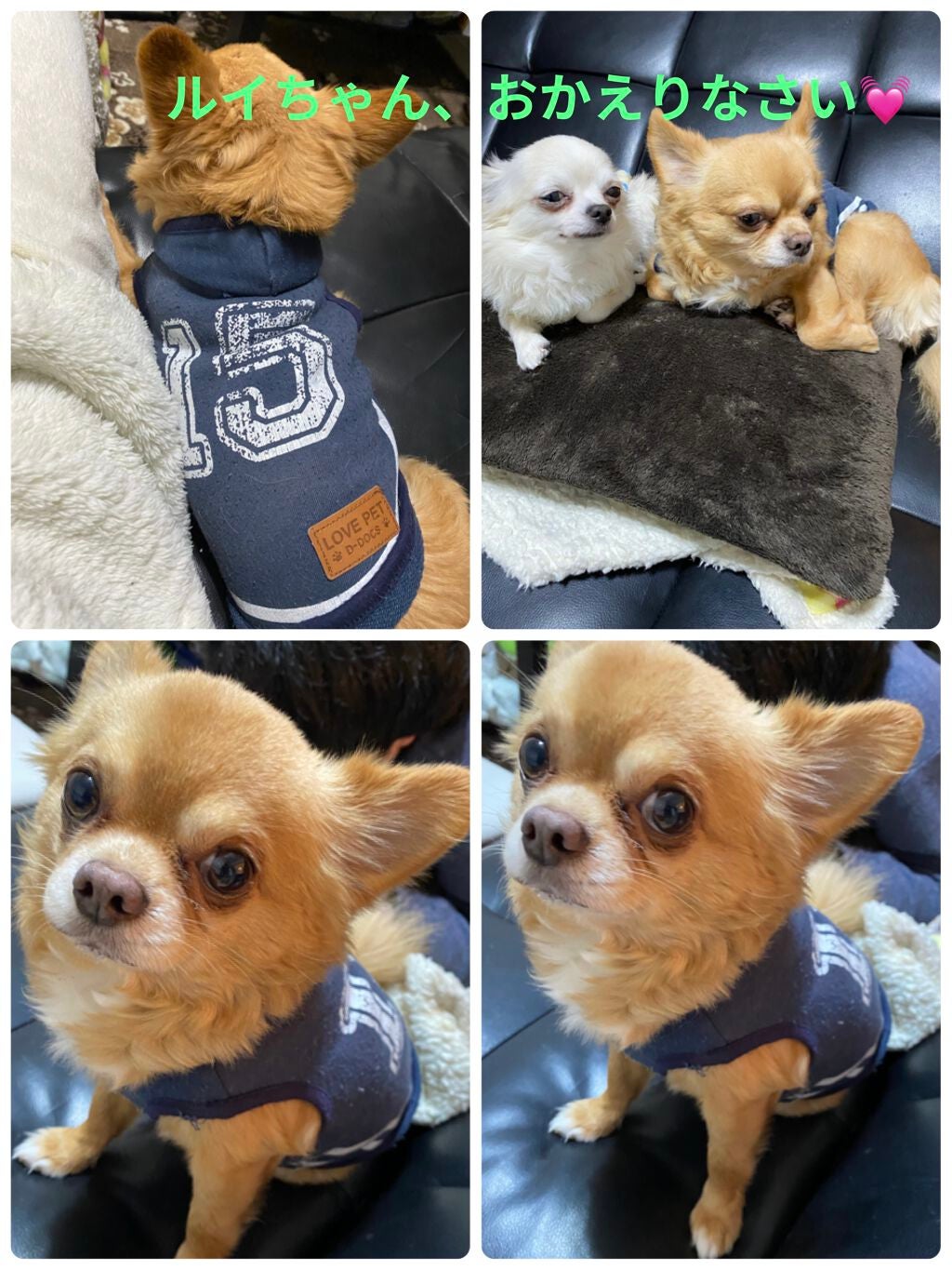 口紅(詰替用)/ちふれ/口紅を使ったクチコミ(8枚目)