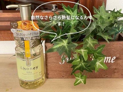 シルキー スムースモイスチャー ヘアオイル 3.0/&honey/ヘアオイルを使ったクチコミ(1枚目)