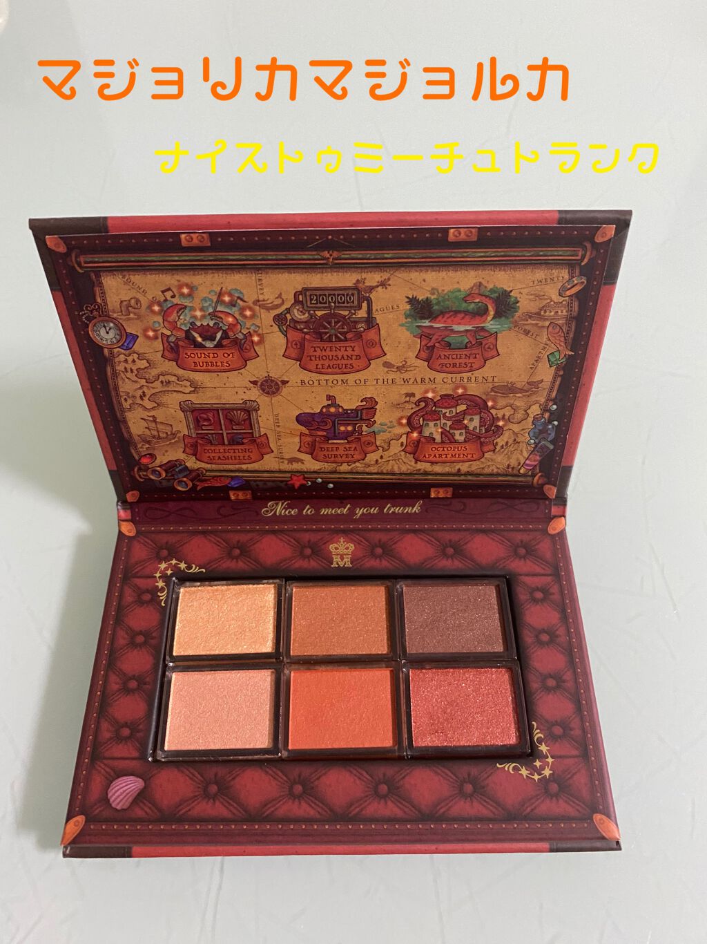 ナイストゥミーチュートランク テラコッタベージュ 暖流の底/MAJOLICA MAJORCA/アイシャドウパレットを使ったクチコミ（1枚目）