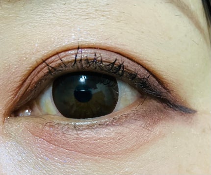 アイカラーレーション/LUNASOL/アイシャドウパレットを使ったクチコミ(2枚目)