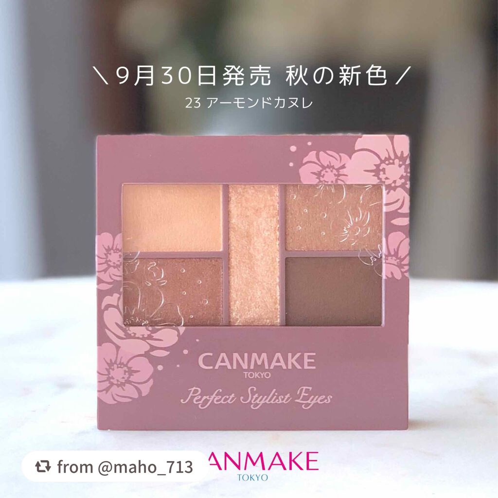 パーフェクトスタイリストアイズ/キャンメイク/アイシャドウパレットを使ったクチコミ(1枚目)