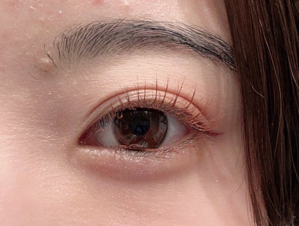 プランぷくコーデアイズNeo/キャンメイク/アイシャドウを使ったクチコミ(1枚目)