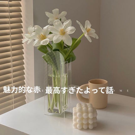 パーフェクトマルチアイズ/キャンメイク/アイシャドウパレットを使ったクチコミ(1枚目)