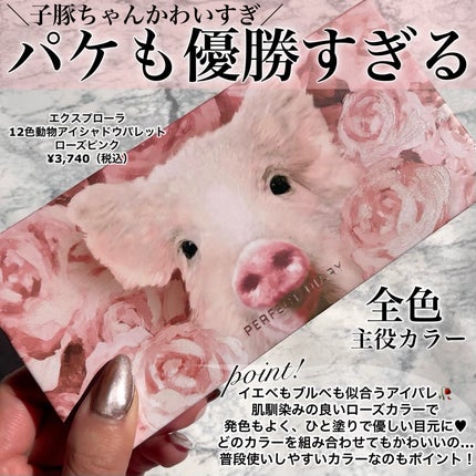 エクスプローラ12色 動物アイシャドウパレット/PERFECT DIARY/アイシャドウパレットを使ったクチコミ(2枚目)