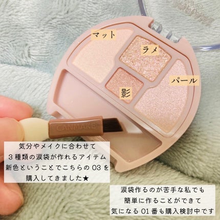プランぷくコーデアイズ/キャンメイク/パウダーアイシャドウを使ったクチコミ(2枚目)