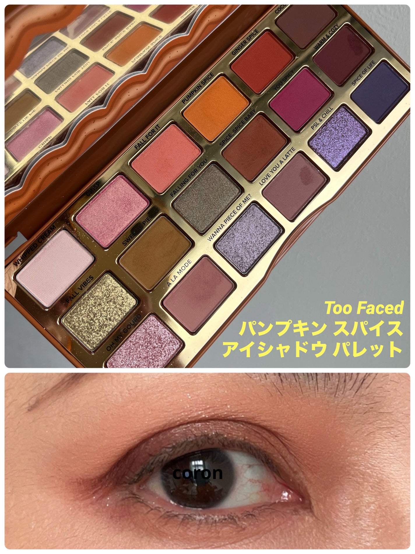 パンプキン スパイス アイシャドウ パレット(旧)/Too Faced/アイシャドウパレットを使ったクチコミ(1枚目)