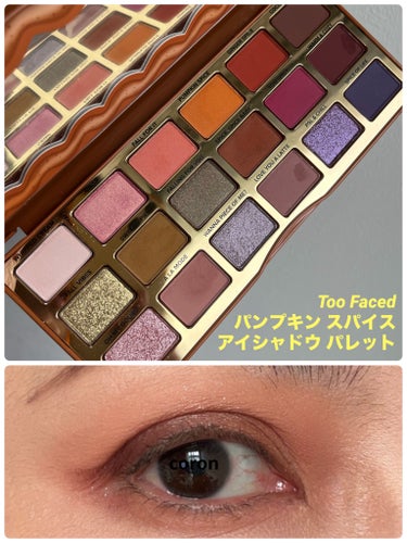 パンプキン スパイス アイシャドウ パレット(旧)/Too Faced/アイシャドウパレットを使ったクチコミ（1枚目）