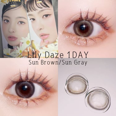 Lily Dazeから1dayタイプ登場！

chuu LENS  
Lily Daze 1day    Sun Brown/Sun Gray


瞳に差し込む太陽のあたたかな明かりこもれびレンズ

斜