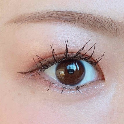 Rainforest Eyeshadow/MACK ANDY/アイシャドウパレットを使ったクチコミ(2枚目)