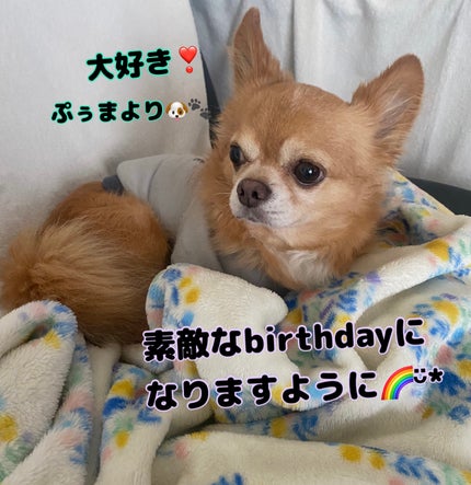 カラフルネイルズ/キャンメイク/マニキュアを使ったクチコミ(7枚目)