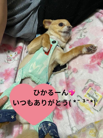 グリッタージェルベリオネア/ColourPop/グリッターを使ったクチコミ(9枚目)