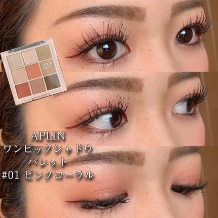 ワンピックアイシャドウパレット/APLIN/アイシャドウパレットを使ったクチコミ(1枚目)