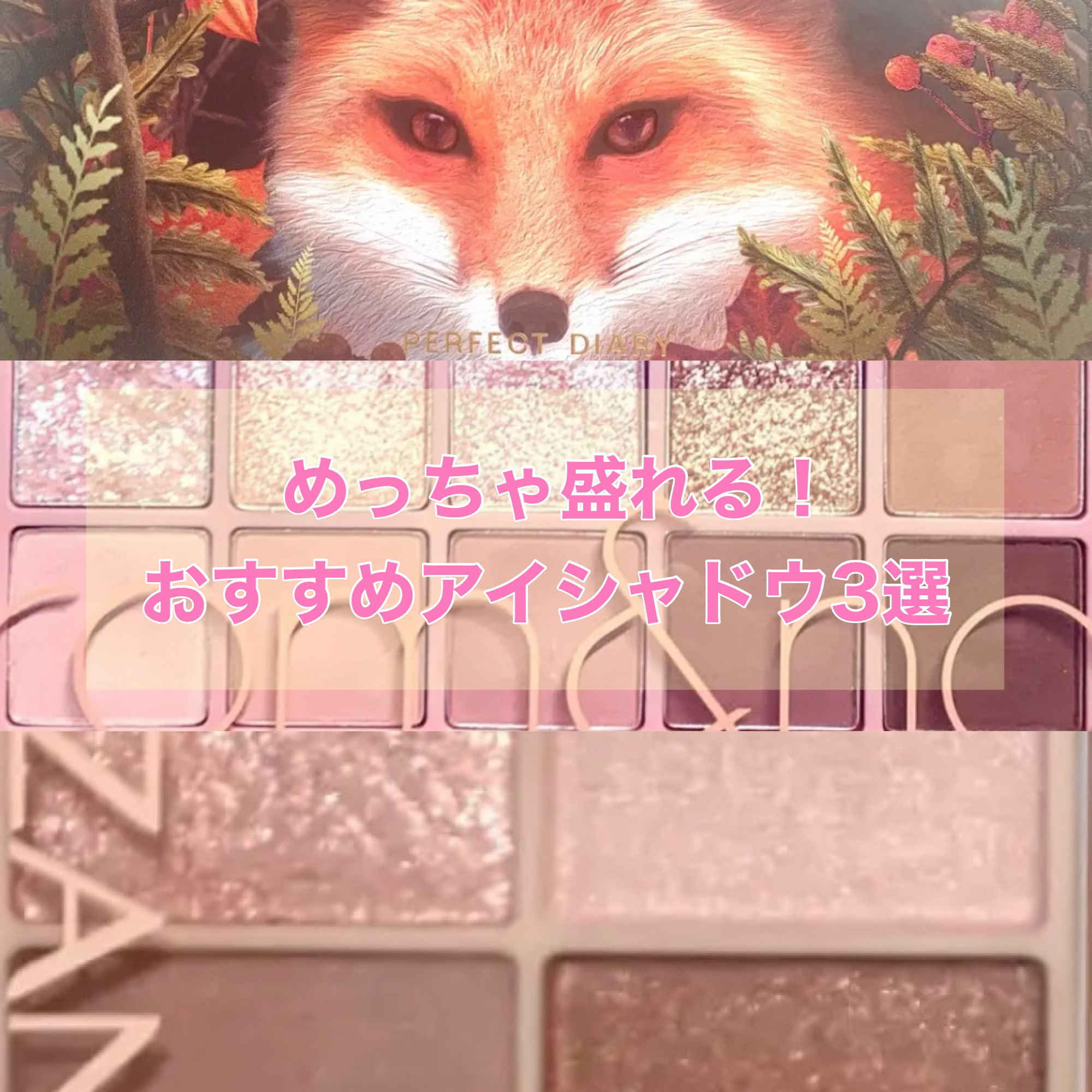 エクスプローラ12色 動物アイシャドウパレット/PERFECT DIARY/アイシャドウパレットを使ったクチコミ（1枚目）