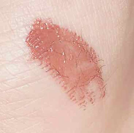 エテュセ アイエディション (マスカラベース)/ettusais/マスカラ下地を使ったクチコミ(3枚目)