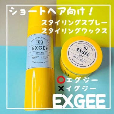 EXGEE エグジー ソフトワックスのクチコミ「✅EXGEE
エグジー スタイリングスプレー 03
エグジー ソフトワックス 01

こちらは.....」（1枚目）