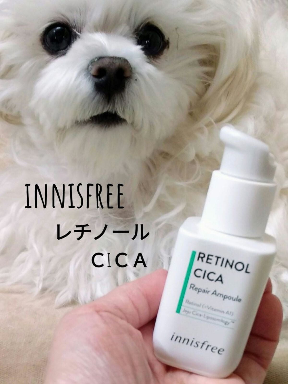 レチノール シカ リペア セラム/innisfree/美容液を使ったクチコミ(1枚目)