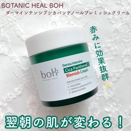 ダーマインテンシブシカパンテノールブラミッシュクリーム/BIOHEAL BOH/フェイスクリームを使ったクチコミ(1枚目)