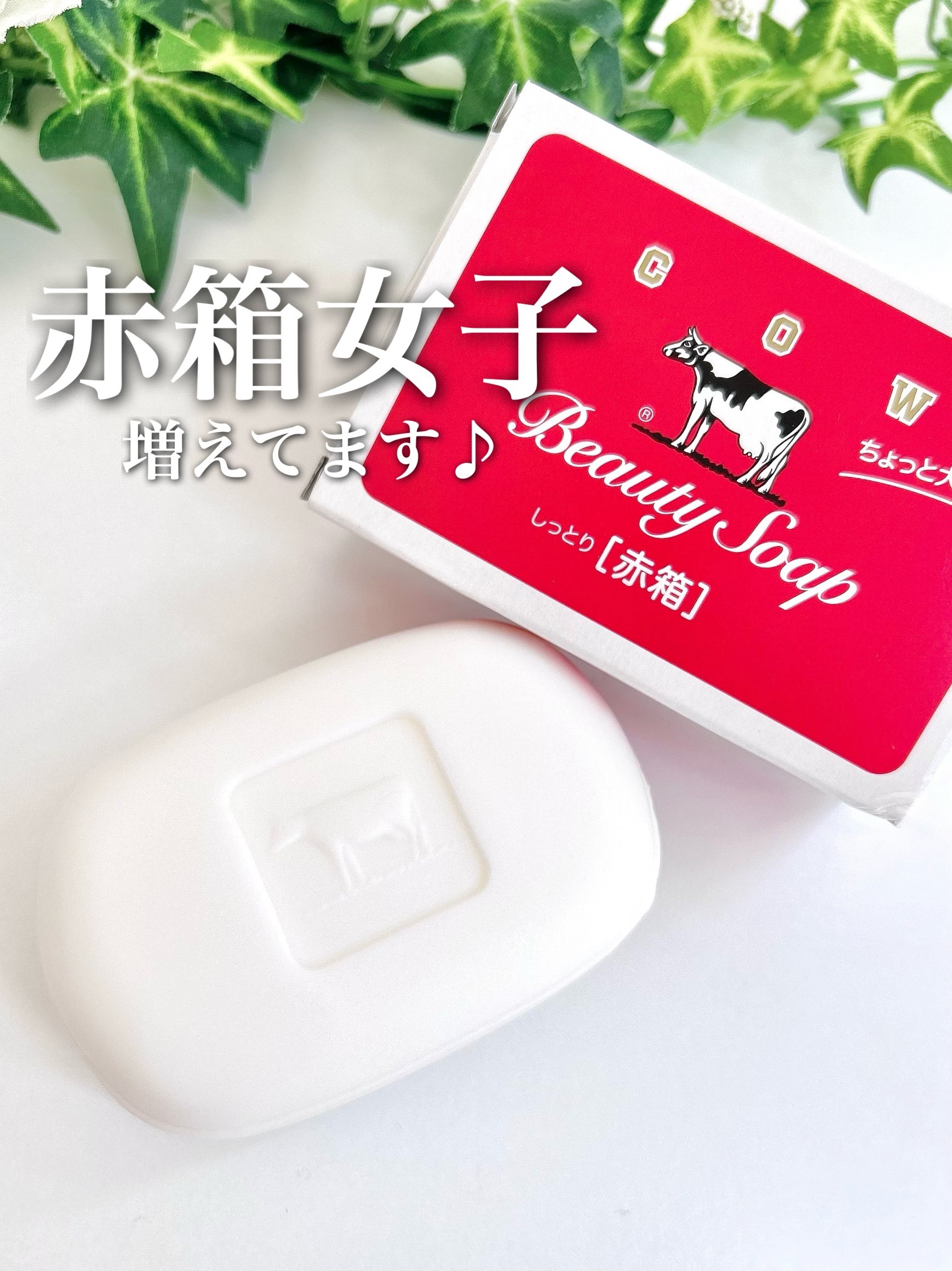 赤箱 (しっとり)/カウブランド/洗顔石鹸を使ったクチコミ（1枚目）