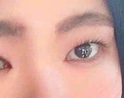 ノーズ&アイブロウパウダー/CEZANNE/パウダーアイブロウを使ったクチコミ(1枚目)