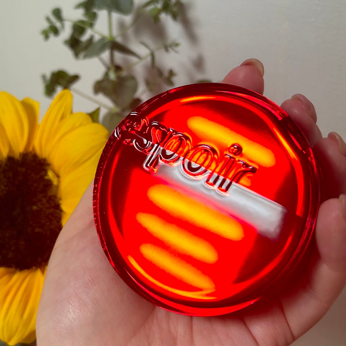 プロテーラービーベルベットカバークッション/espoir/クッションファンデーションを使ったクチコミ(1枚目)