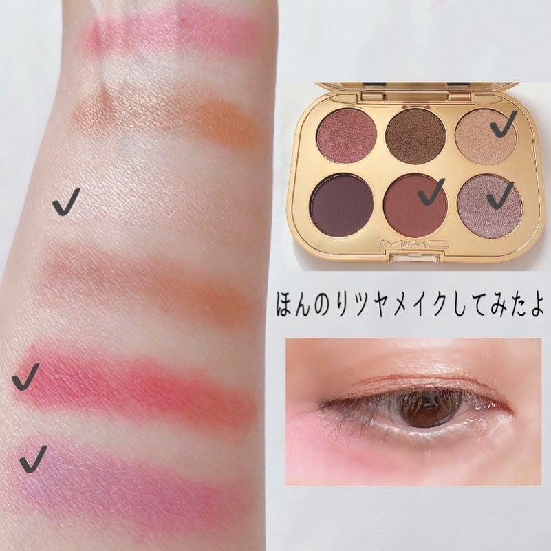 トレジャー アイシャドウ パレット ×6/M・A・C/アイシャドウパレットを使ったクチコミ(4枚目)