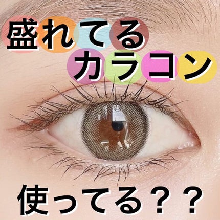 mimuco 1day/mimuco/ã¯ã³ããŒïŒïŒDAYïŒã«ã©ã³ã³ã䜿ã£ãã¯ãã³ãïŒ1æç®ïŒ