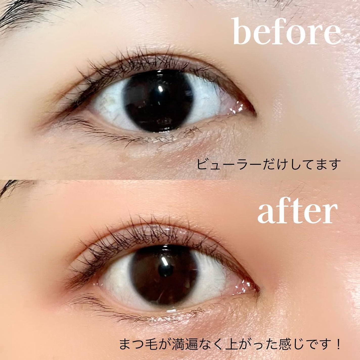 パーマイットアップアイラッシュパーマキット/Loingz/その他キットセットを使ったクチコミ(6枚目)