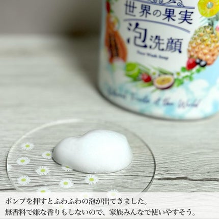 世界の果実 すっきり泡洗顔/世界の果実/泡洗顔を使ったクチコミ(2枚目)