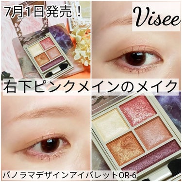 パノラマデザイン アイパレット/Visée/パウダーアイシャドウを使ったクチコミ（1枚目）