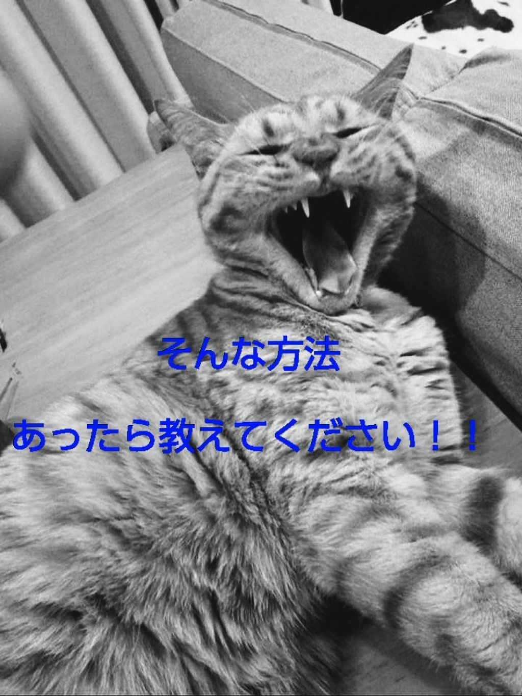 ヴォリュプテ ウォーター カラーバーム/YVES SAINT LAURENT BEAUTE/口紅を使ったクチコミ(2枚目)
