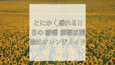 【とにかく盛れる】目の縦幅横幅拡張!!強めオレンジメイク🍊



今回はアイライン結構メインで目の大きさを変えれる
オレンジメイクを紹介していきます。


最後まで見てくれたらうれしいです､

----