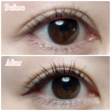 パーフェクトエクステンション マスカラ/D-UP/マスカラを使ったクチコミ(3枚目)