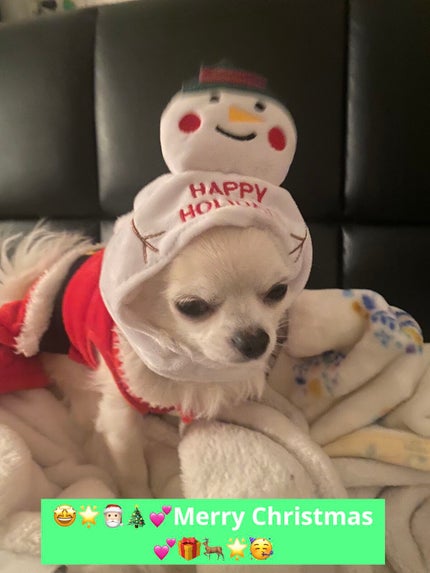 トーンアップアイシャドウ/CEZANNE/アイシャドウパレットを使ったクチコミ(10枚目)