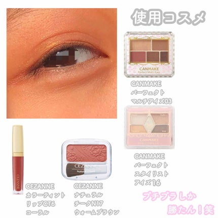 【旧品】パーフェクトスタイリストアイズ/キャンメイク/アイシャドウパレットを使ったクチコミ(2枚目)